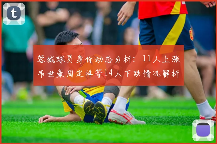 蓉城球员身价动态分析：11人上涨韦世豪周定洋等14人下跌情况解析