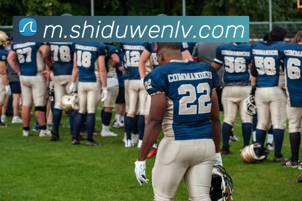 w66官网平台生态图